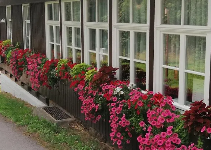 Bretthaeusl Мини-отель